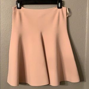 BCBG skirt